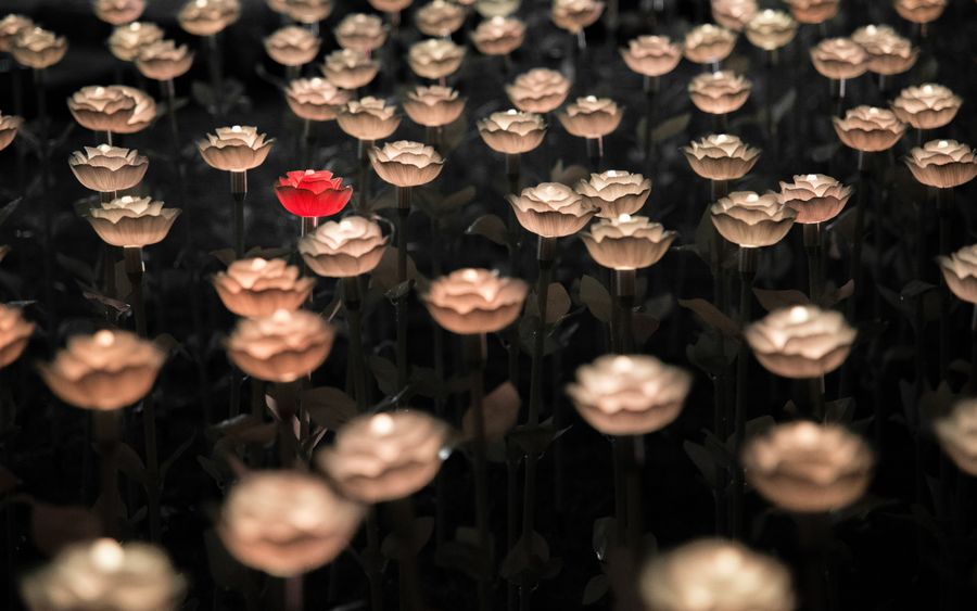 Run a Cron Bash Backup Script Safely